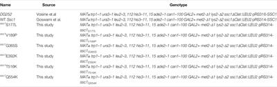 Loss of Function of mtHsp70 Chaperone Variants Leads to Mitochondrial Dysfunction in Congenital Sideroblastic Anemia